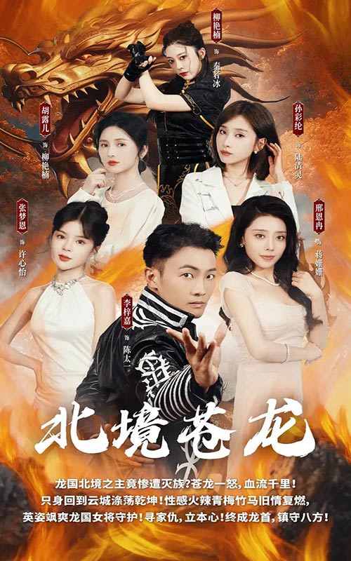 北境蒼龍免費(fèi)全集