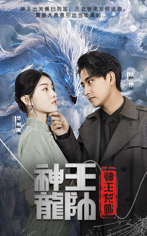 神王龍帥完整版合集