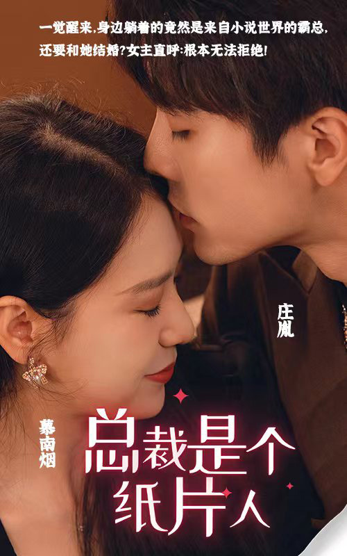 總裁是個紙片人全集版