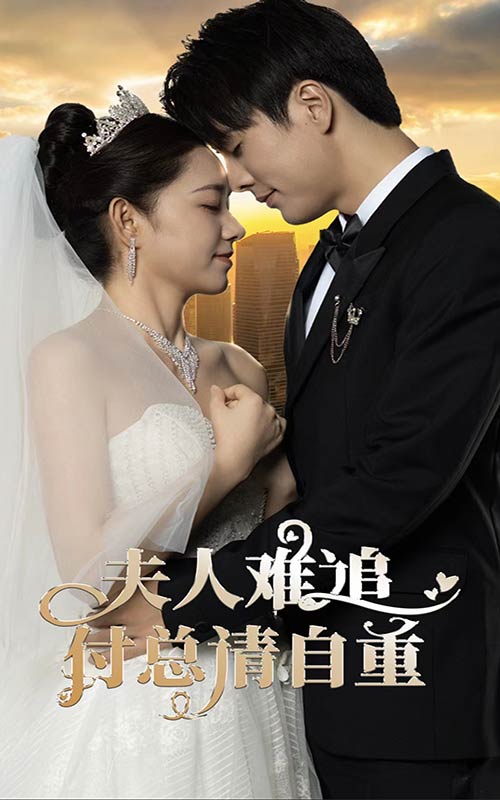 夫人難追，付總請自重大結(jié)局