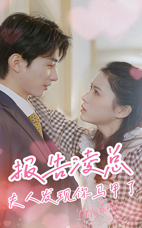 報告凌總，夫人發(fā)現(xiàn)你馬甲了終極版