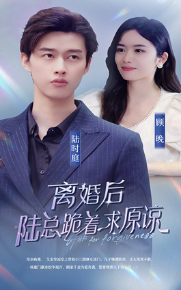 離婚后，陸總跪著求原諒未刪節版