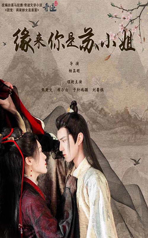 緣來(lái)你是蘇小姐大結(jié)局