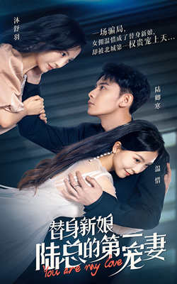 替身新娘：陸總的第一寵妻劇場版