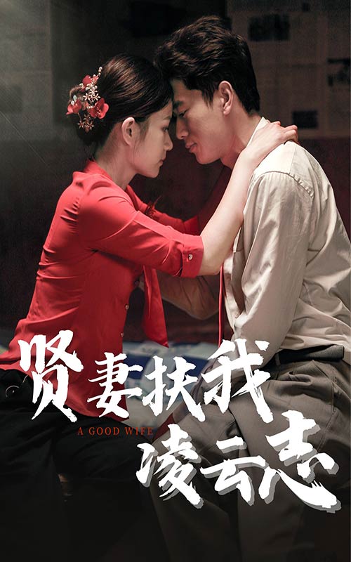 賢妻扶我凌云志正篇