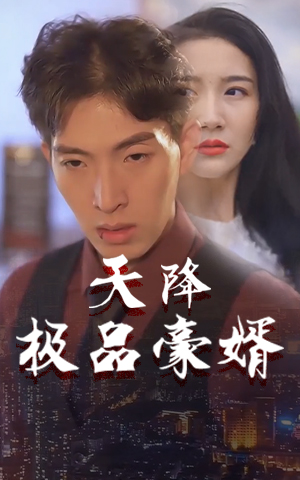 天降極品豪婿經(jīng)典版
