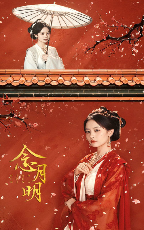 念月明后續