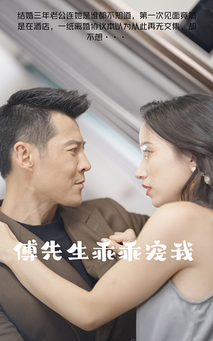 傅先生乖乖寵我后續(xù)