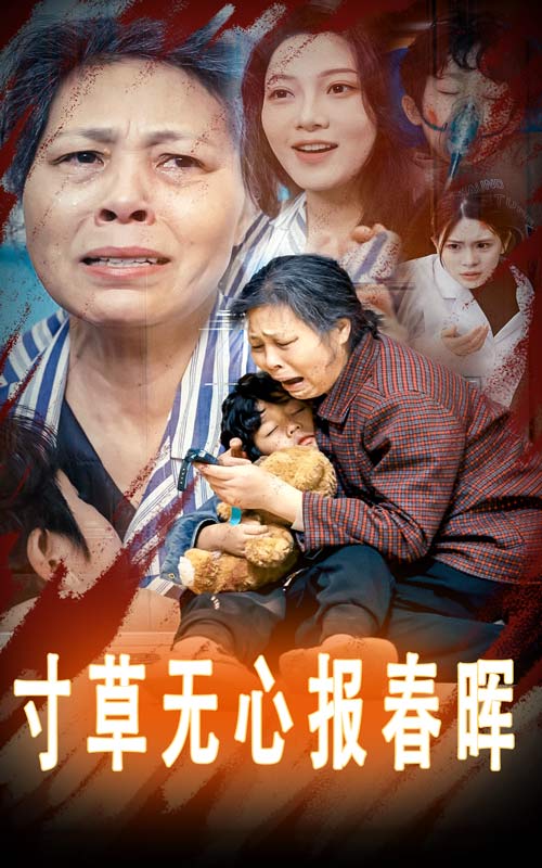 寸草无心报春晖_免费观看