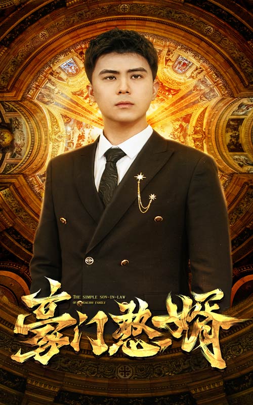 豪門憨婿無廣告