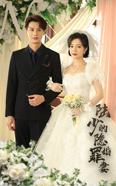 陸少的隱婚罪妻后續(xù)