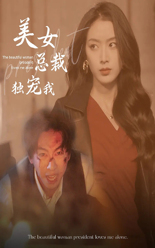 美女總裁獨(dú)寵我后續(xù)