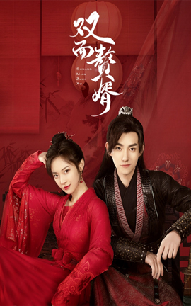 雙面贅婿第二季后續(xù)