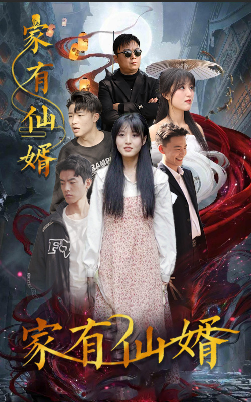 家有仙婿后續