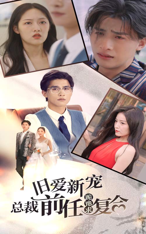 舊愛(ài)新寵，總裁前任跪地求復(fù)合無(wú)廣告