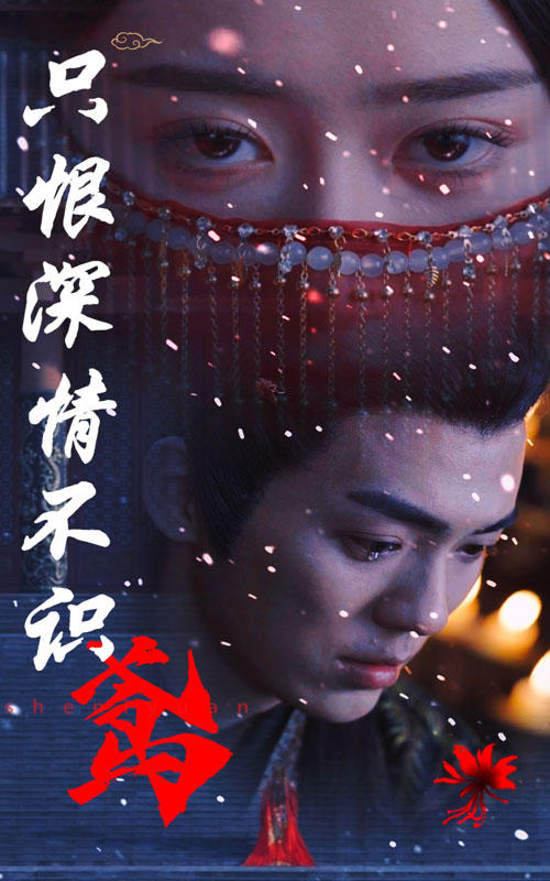 只恨深情不识鸢封面图