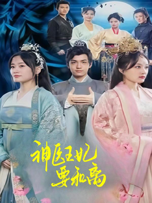 神医王妃要和离
