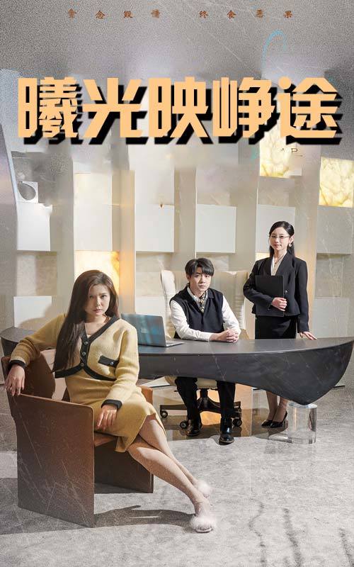 曦光映峥途封面图